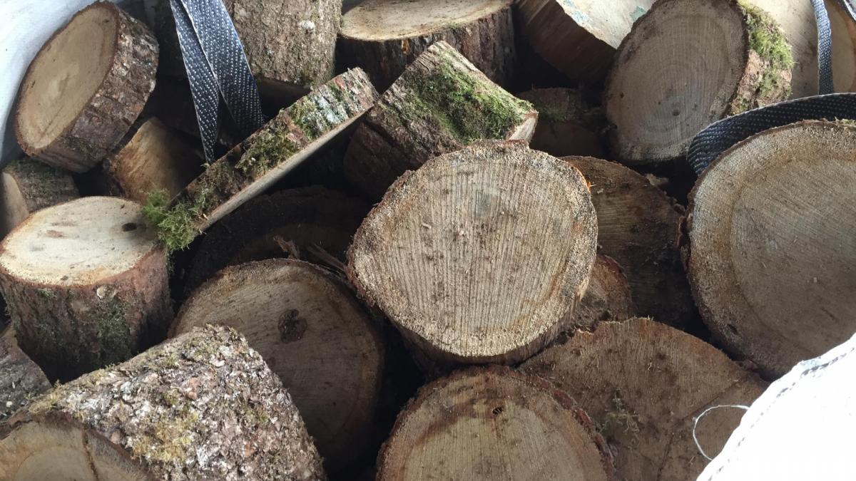 CHUTE DE BOIS